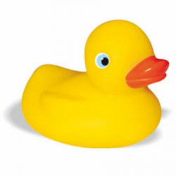 Canard de bain